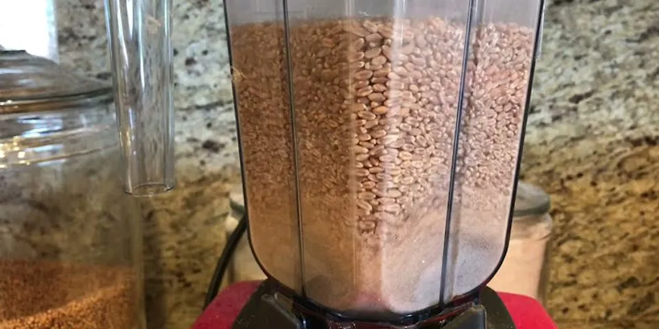 Can you make flour from wheat berries?