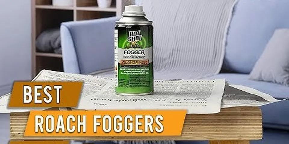 Roach fogger reviews